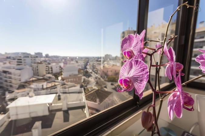 Brigida's Flat * Distrikt Faro